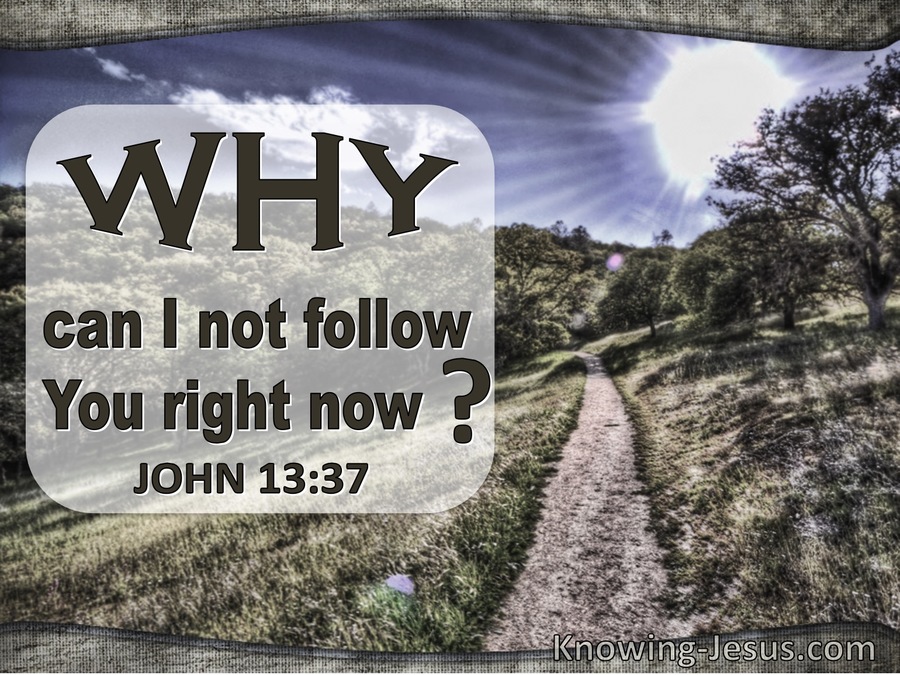 John 13:37 Why Can I Not Follow You (sage)